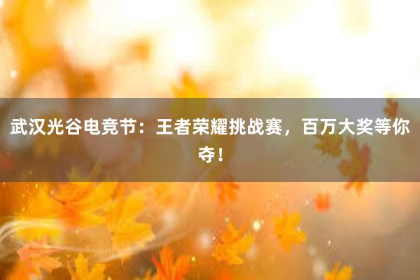 武汉光谷电竞节：王者荣耀挑战赛，百万大奖等你夺！